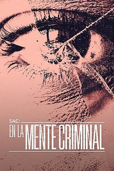 Caratula, cartel, poster o portada de SAC: En la mente criminal