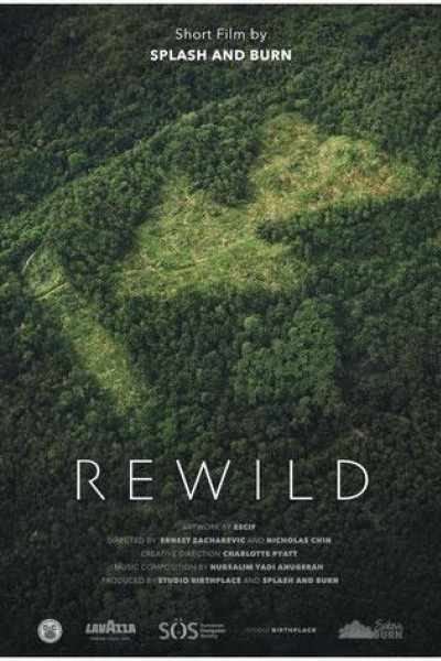 Cubierta de Rewild