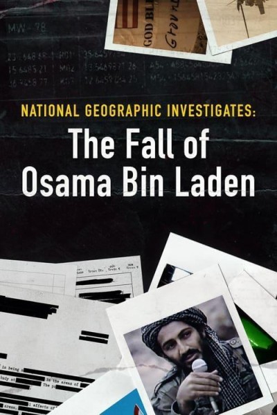 Caratula, cartel, poster o portada de La caída de Osama Bin Laden