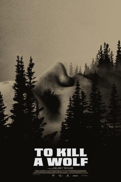 Caratula, cartel, poster o portada de To Kill a Wolf