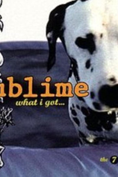 Cubierta de Sublime: What I Got