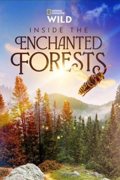 Caratula, cartel, poster o portada de Inside the Enchanted Forests