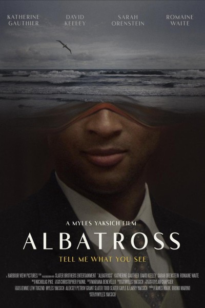 Caratula, cartel, poster o portada de Albatross