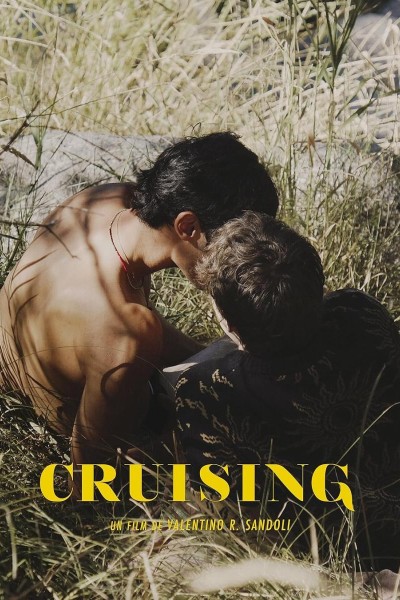 Caratula, cartel, poster o portada de Cruising