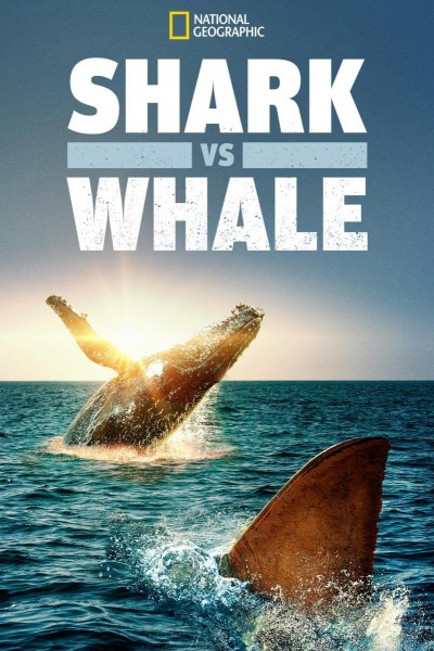 Caratula, cartel, poster o portada de Shark vs. Whale