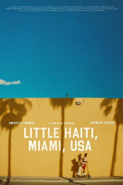 Cubierta de Little Haiti, Miami, USA