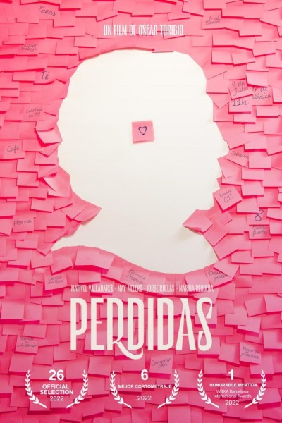 Caratula, cartel, poster o portada de Perdidas