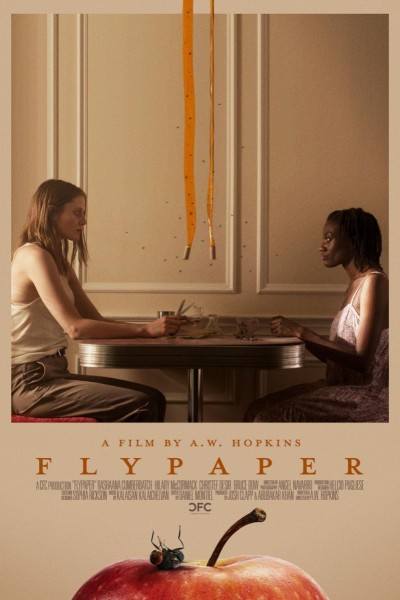 Caratula, cartel, poster o portada de Flypaper