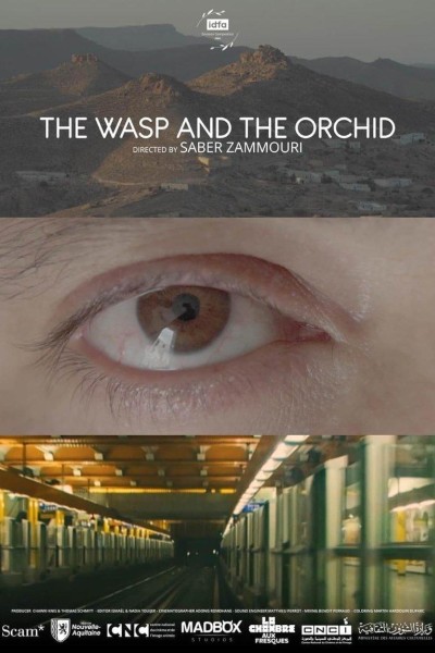 Cubierta de The Wasp and the Orchid