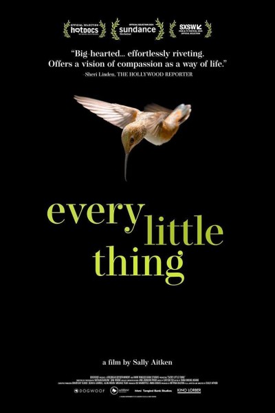 Caratula, cartel, poster o portada de Every Little Thing