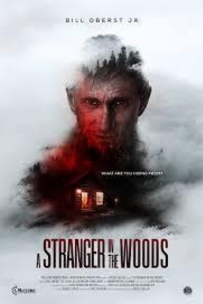 Caratula, cartel, poster o portada de A Stranger in the Woods