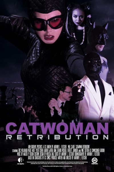 Caratula, cartel, poster o portada de Catwoman Retribution