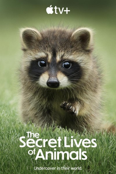 Caratula, cartel, poster o portada de La vida secreta de los animales