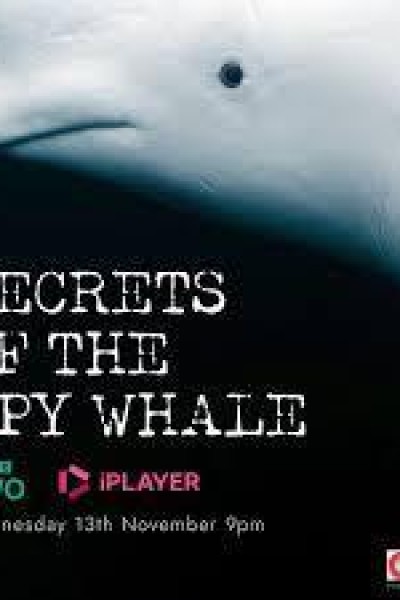 Caratula, cartel, poster o portada de Secrets of the Spy Whale