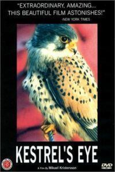 Caratula, cartel, poster o portada de Kestrel\'s Eye