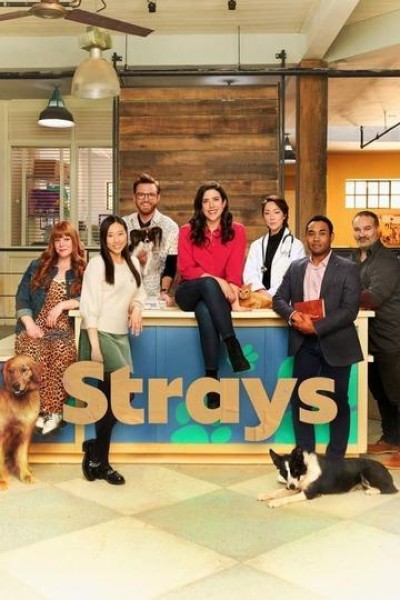 Caratula, cartel, poster o portada de Strays