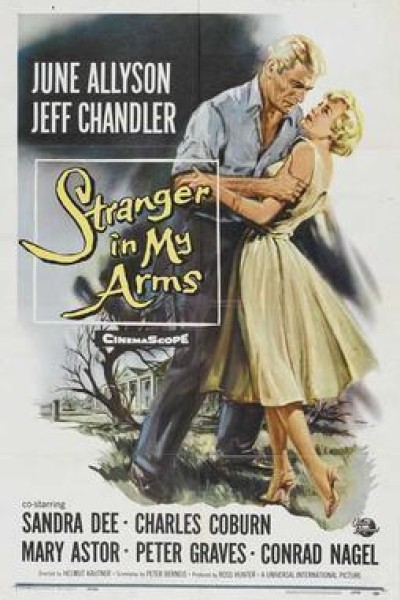 Caratula, cartel, poster o portada de A Stranger in My Arms