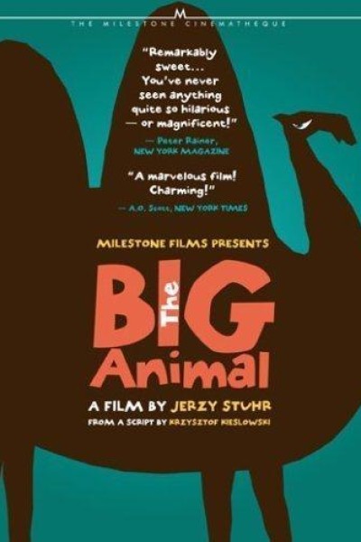 Caratula, cartel, poster o portada de Big Animal