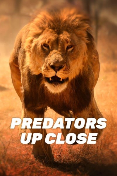 Caratula, cartel, poster o portada de Predators Up Close with Joel Lambert