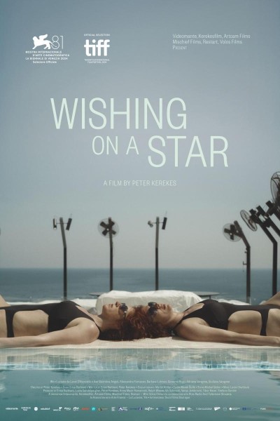 Caratula, cartel, poster o portada de Wishing on a Star