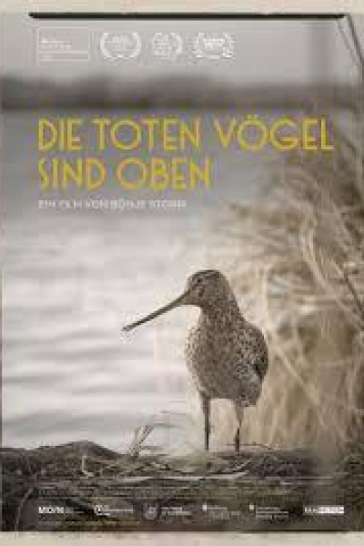 Cubierta de Die toten Vögel sind oben