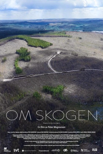 Caratula, cartel, poster o portada de Om skogen