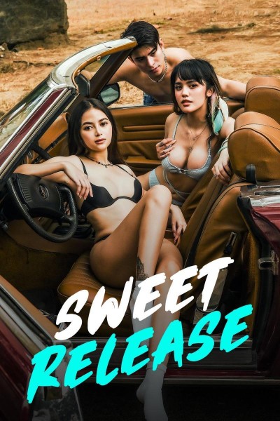 Caratula, cartel, poster o portada de Sweet Release