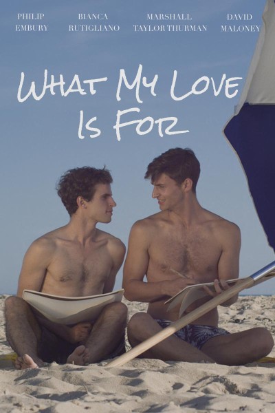 Caratula, cartel, poster o portada de What My Love Is For