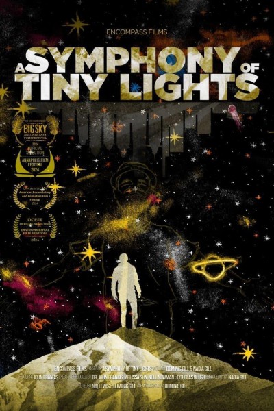 Caratula, cartel, poster o portada de A Symphony of Tiny Lights