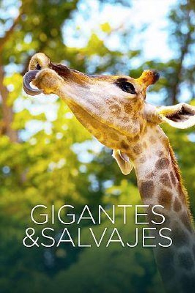 Cubierta de Gigantes y salvajes