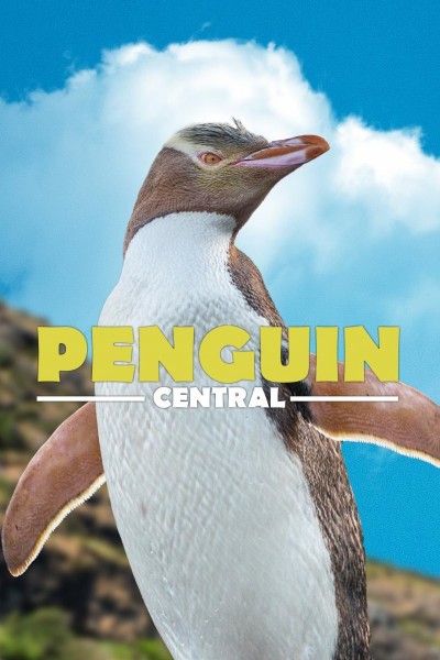 Cubierta de El reino de los pingüinos