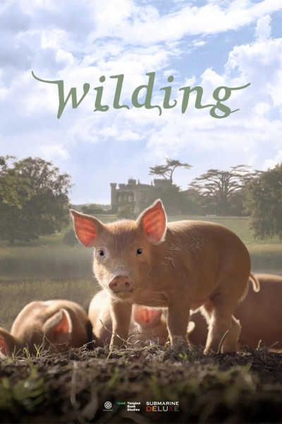 Caratula, cartel, poster o portada de Wilding