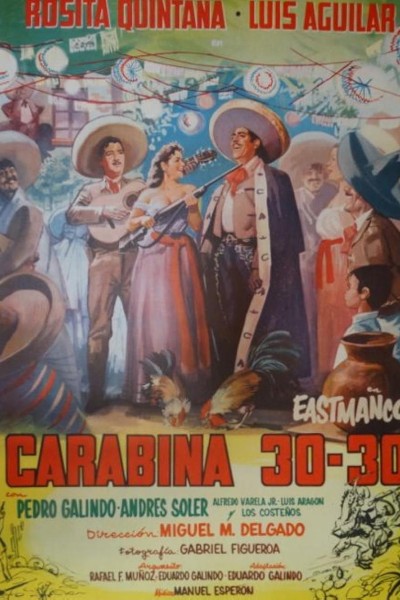 Cubierta de Carabina 30-30