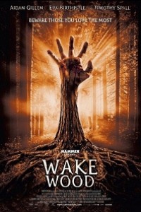 Caratula, cartel, poster o portada de Wake Wood