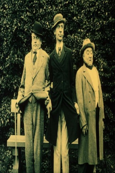 Cubierta de Nelly’s Knights