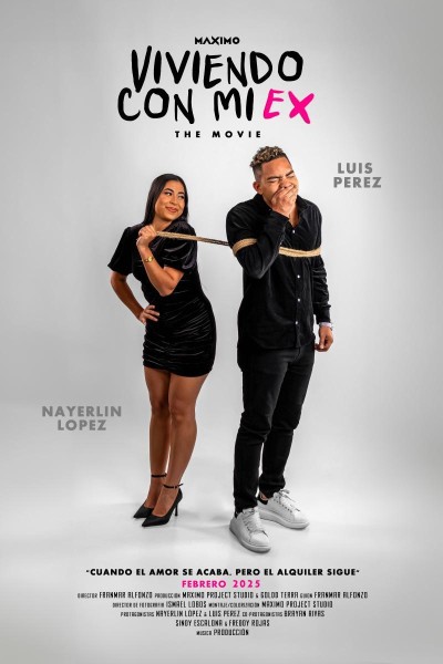 Caratula, cartel, poster o portada de Viviendo con mi ex