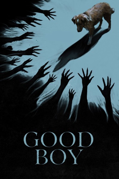 Caratula, cartel, poster o portada de Good Boy