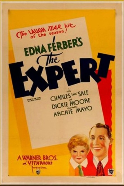 Caratula, cartel, poster o portada de The Expert