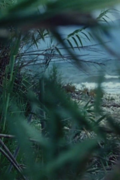 Cubierta de Arkadian Fragment