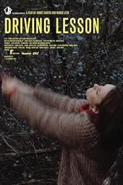 Cubierta de Driving Lesson