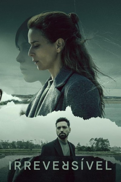 Caratula, cartel, poster o portada de Irreversible