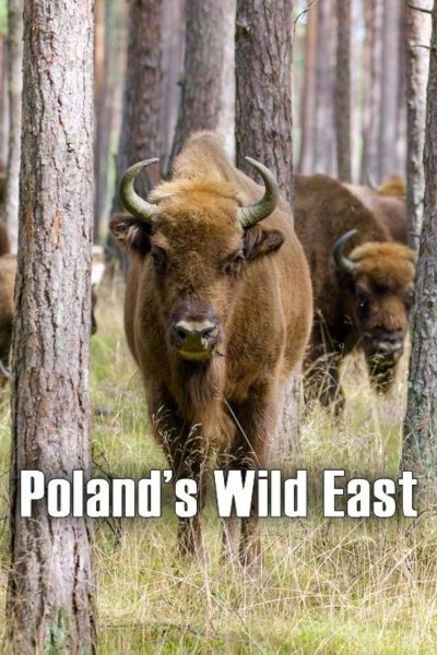 Cubierta de El salvaje este de Polonia