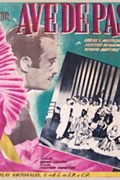 Cubierta de Ave de paso