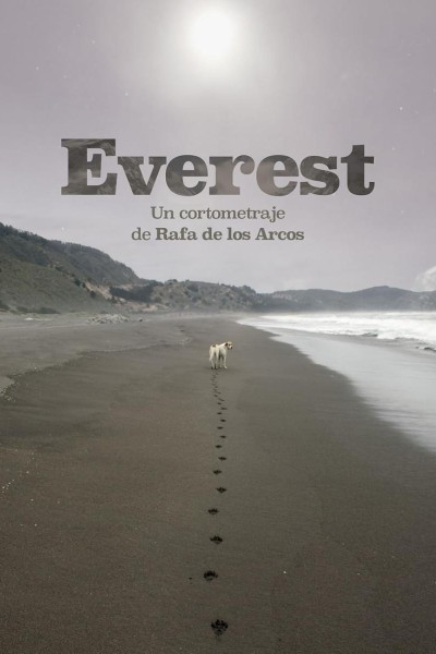 Caratula, cartel, poster o portada de Everest