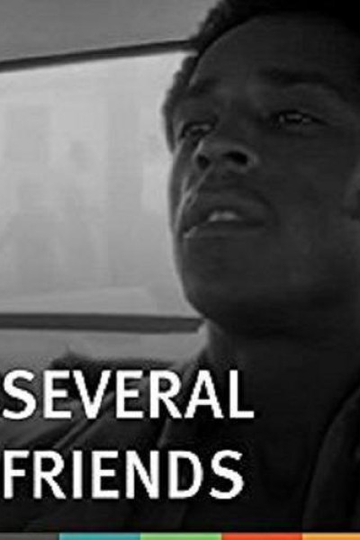 Cubierta de Several Friends