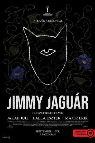 Caratula, cartel, poster o portada de Jimmy Jaguár