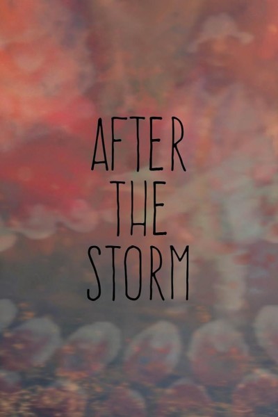 Caratula, cartel, poster o portada de After the Storm