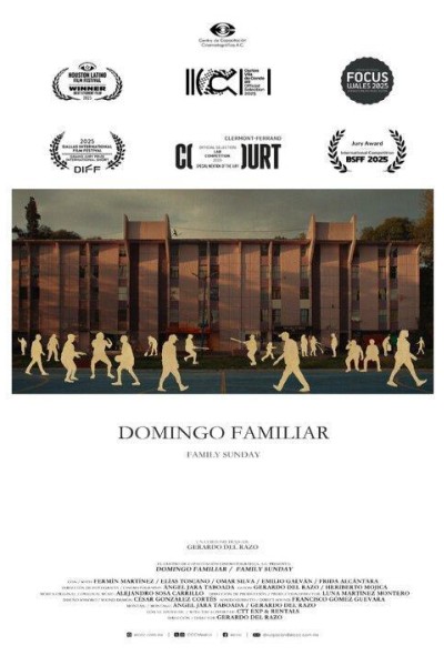 Caratula, cartel, poster o portada de Domingo familiar
