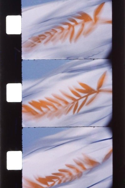 Cubierta de Citron pressé au Blue Bar (Souvenirs/Cannes)