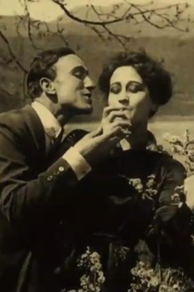 Cubierta de Ironías de la vida